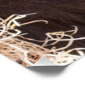 ゴリラを日に照らしてシャファイ ポスター (コーナー)