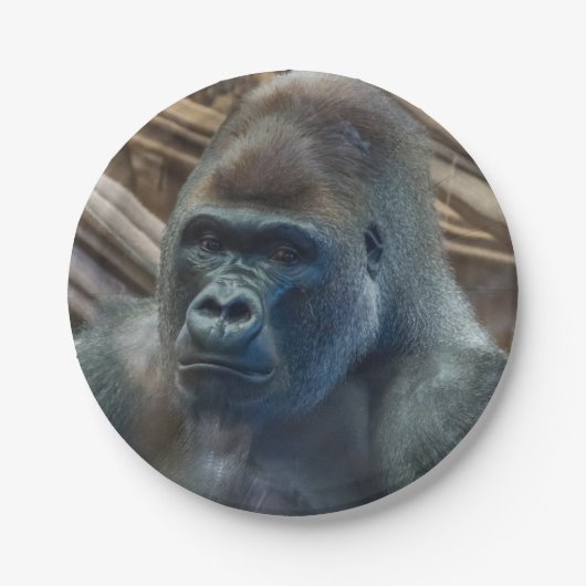 ゴリラアップクローズ紙プレート ペーパープレート (正面)