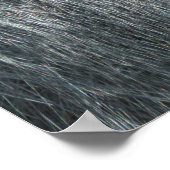 ゴリラオザラ ポスター (角)