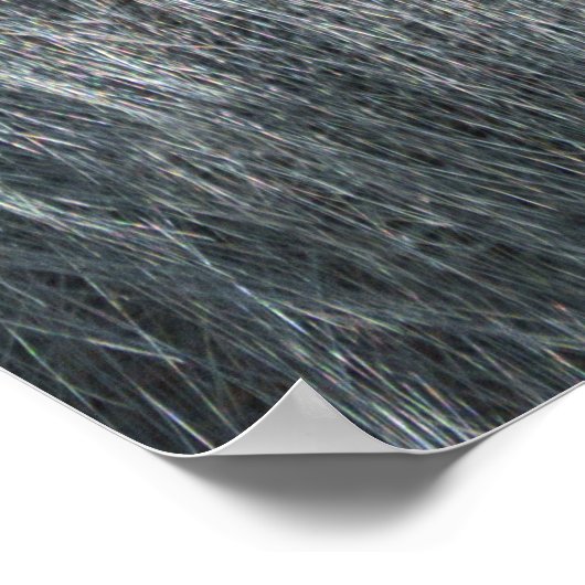 ゴリラオザラ ポスター (角)