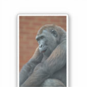 ゴリラシュファイ シール (正面)