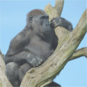 ゴリラズトランクツリーパーチ シール (正面)