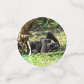 ゴリラテーブル紙吹雪 コンフェッティ (スモール正面)