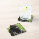 ゴリラバビー コースター (右側)