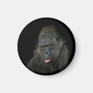ゴリラビディ マグネット