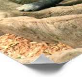 ゴリラファミリーポスター ポスター (角)