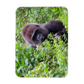 ゴリラフレキシブルマグネット マグネット (縦)