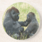 ゴリラブラザーズフォーエバー コースター (正面)