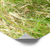 ゴリラブラザーズフォーエバー ポスター (角)