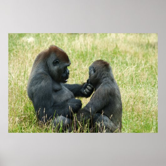 ゴリラブラザーズフォーエバー ポスター (正面)