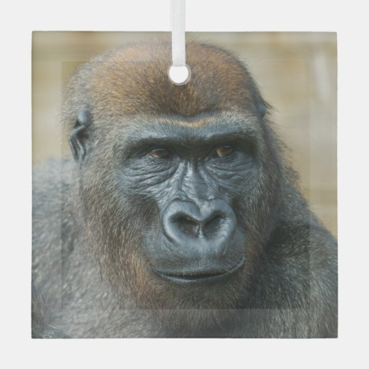 ゴリラブラザーズ – GoBros ガラスオーナメント (正面)