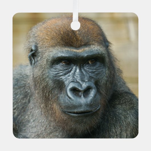 ゴリラブラザーズ – GoBros メタルオーナメント (正面)