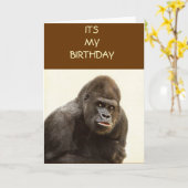 ゴリラプウト カード (黄色い花)