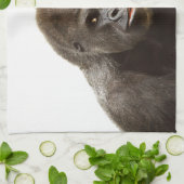 ゴリラプウト キッチンタオル (折り畳み)