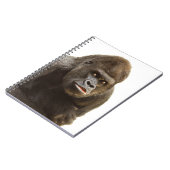 ゴリラプウト ノートブック (左側)