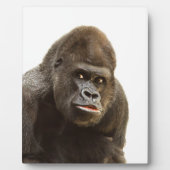 ゴリラプウト フォトプラーク (正面)