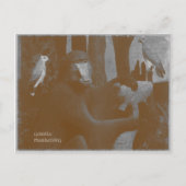 ゴリラマーケティングおもしろい葉書 ポストカード (正面)