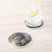 ゴリラヤングスタースクエア紙コースター コースター (側面)