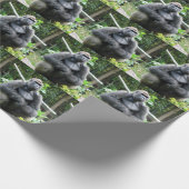 ゴリララッピング紙 ラッピングペーパー (角)