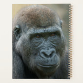 ゴリラロペ&シュファイ プランナー手帳 (裏面)