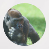 ゴリラロペ(ラウンドデザイン) ラベル (デザイン1)