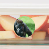 ゴリラロペ(ラウンドデザイン) ラベル (貼付)