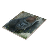 ゴリラロープの冷たい時間 タイル (側面)