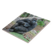 ゴリラ動物園の陶製タイル タイル (側面)