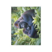 ゴリラ動物自然野生動物の気に愛情 ノートパッド (回転)