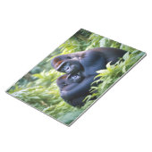 ゴリラ動物自然野生動物の気に愛情 ノートパッド (アングル)
