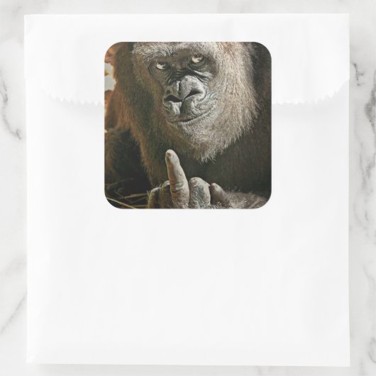 ゴリラ指 スクエアシール (バッグ)