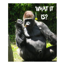 ゴリラ挨拶ポスター