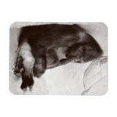 ゴリラ撮影スリープ マグネット (横)