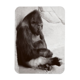 ゴリラ撮影スリープ マグネット