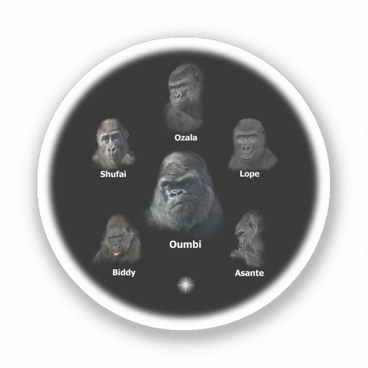 ゴリラ族 シール (正面)