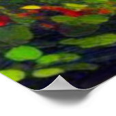 ゴリラ東部10 ポスター (角)