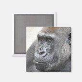 ゴリラ磁石 マグネット (正面/裏面)