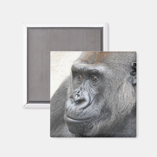 ゴリラ磁石 マグネット (正面/裏面)