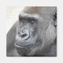 ゴリラ磁石 マグネット