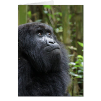 ゴリラ私の夢-女性