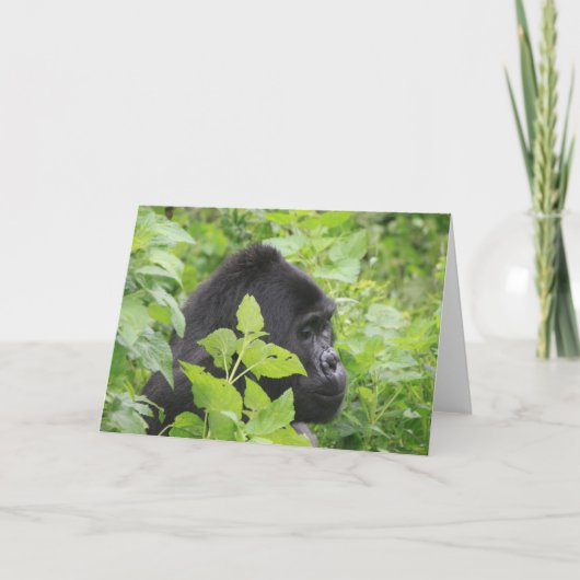 ゴリラ空白のカード – 内側 カード (正面)