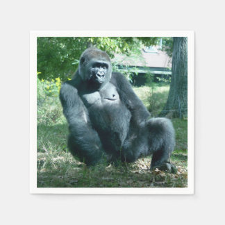 ゴリラ紙ナプキンス スタンダードカクテルナプキン