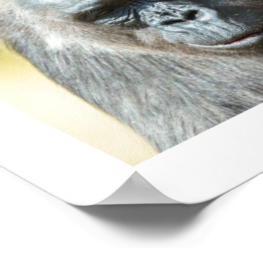 ゴリラ軍 ポスター (角)