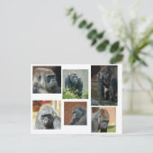 ゴリラ軍 ポストカード (スタンド正面)