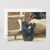 ゴリラ食べーの彼のランチ,動物,野生動物,サル ポストカード (正面/裏面)