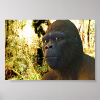 ゴリラ2 ポスター