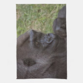 ゴリラ キッチンタオル (縦)