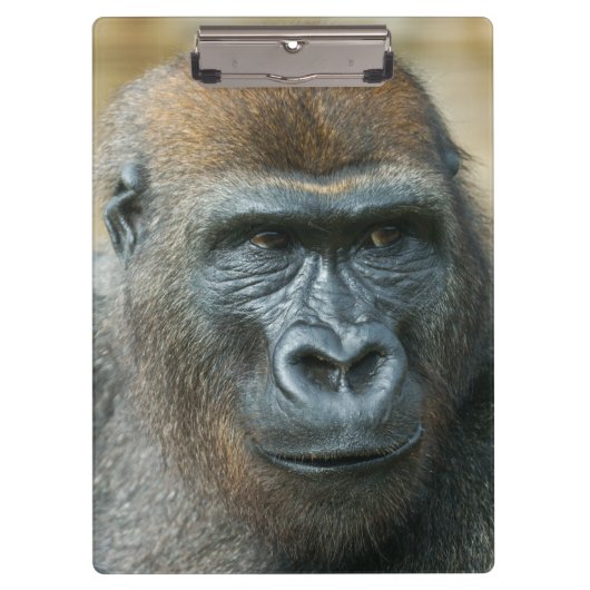 ゴリラ クリップボード (正面)