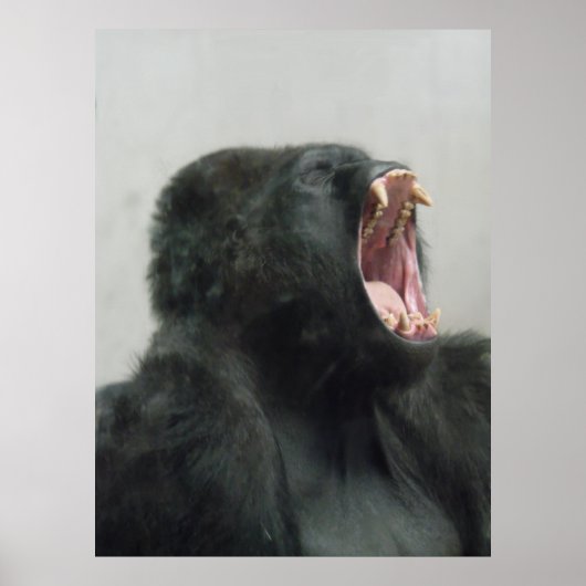 ゴリラ、サル、動物、自然ウォールのポスター ポスター (正面)
