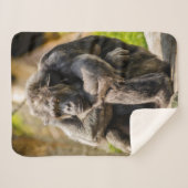 ゴリラ シェルパブランケット (正面(横))